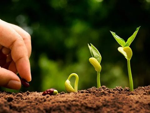 Abilitazione all’impiego sostenibile di prodotti fitosanitari per imprenditori agricoli