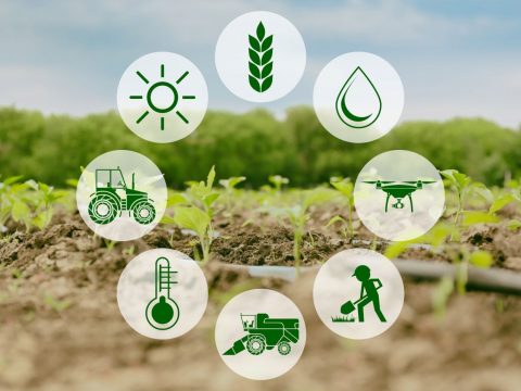 “P.Q.S.A.” Produttività Qualità e Sicurezza Alimentare per imprenditori agricoli